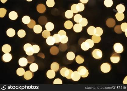 Abstract View Of White Christmas Tree Lights