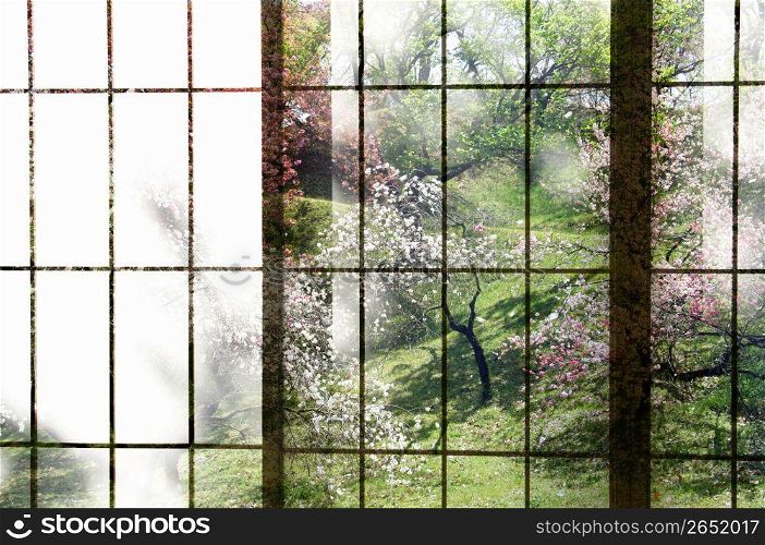 Abstract view through window