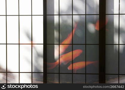 Abstract view through window