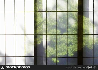 Abstract view through window