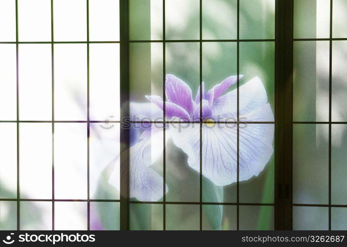 Abstract view through window