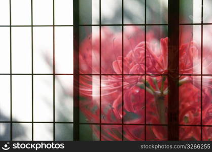 Abstract view through window