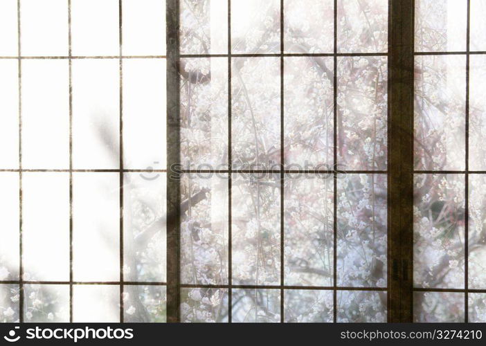 Abstract view through window