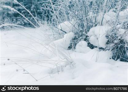 Abstract Winter background, Winter Outdoor Scene, Happy New Year and Merry Christmas Background for a Greeting or Message about Promotions and Sales, for Social Media, Posters, Email, Print, Ads