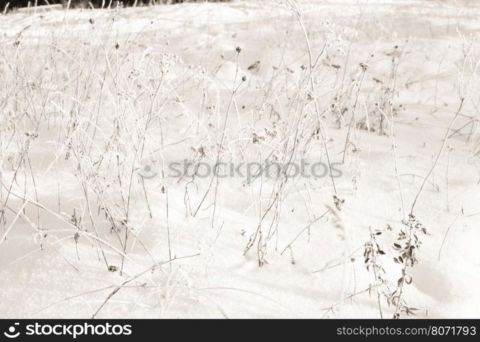 Abstract Winter background, Winter Outdoor Scene, Happy New Year and Merry Christmas Background for a Greeting or Message about Promotions and Sales, for Social Media, Posters, Email, Print, Ads