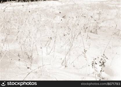 Abstract Winter background, Winter Outdoor Scene, Happy New Year and Merry Christmas Background for a Greeting or Message about Promotions and Sales, for Social Media, Posters, Email, Print, Ads