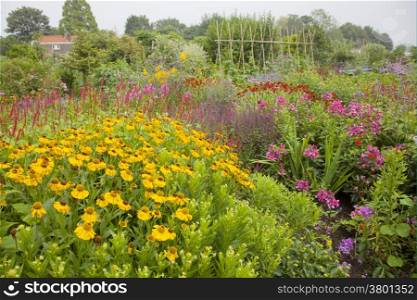 abundance of colorful flowers in garden in the Netherlands