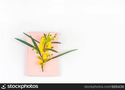 Acacia pycnantha or Mimosa twig with yellow fluffy flowers on pink notebook isolated on white background. Top view flat lay with copy space in minimalism style