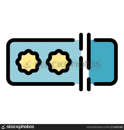 Access password icon. Outline access password vector icon color flat isolated. Access password icon color outline vector