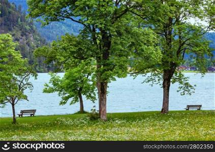 Achensee ( Lake Achen) summer landscape with blossoming meadow and bench on shore (Austria).