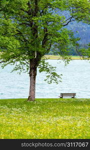 Achensee ( Lake Achen) summer landscape with blossoming meadow and bench on shore (Austria).