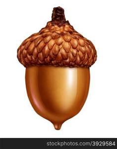 Acorn isolated on a white background as an icon of nature and conservation of the forest environment or a business symbol of prosperity and savings.