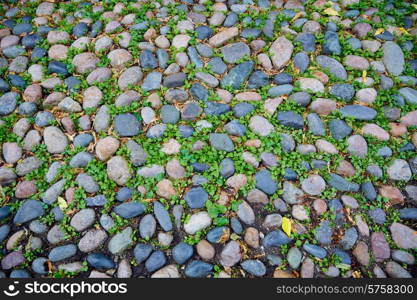 Acorn street Beacon Hill cobblestone soil detail Boston in Massachusetts USA