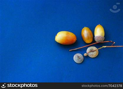 Acorns with caps on the blue background. Acorns with caps on the blue decorative background