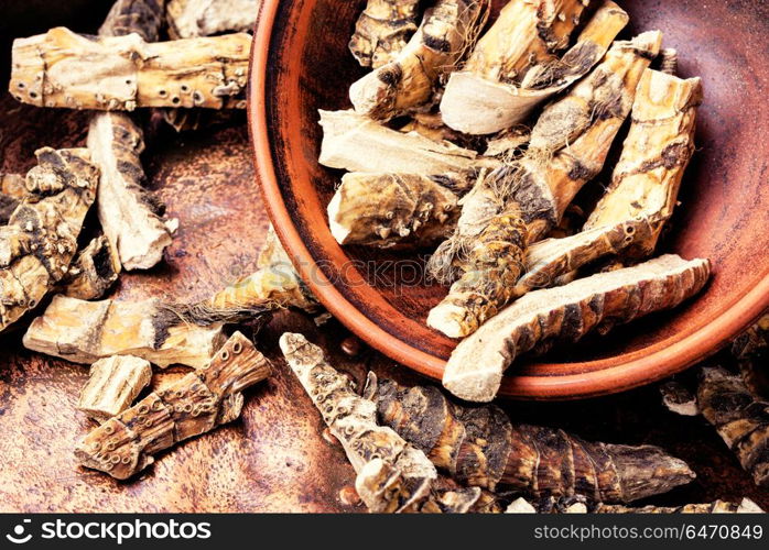 Acorus calamus root. Rhizome acorus calamus for medicinal purposes.Traditional medicine