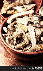 Acorus calamus root. Rhizome acorus calamus for medicinal purposes.Traditional medicine
