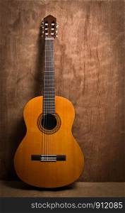 acoustic classical guitar with strings