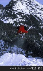 Acrobatic Skiing