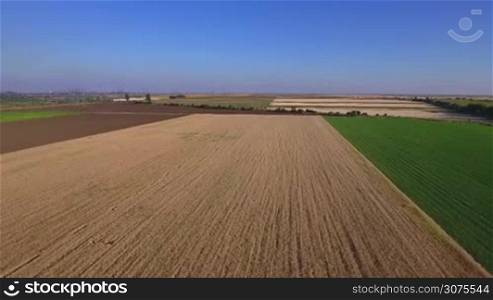 Across a wheat field towards by drone.