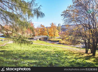 across the river bridge in the autumn park