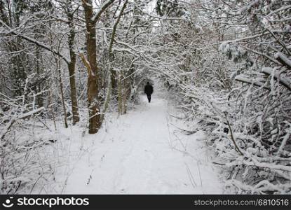 Active man walks alone at a footpath in a forest with snow all over