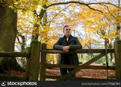 Active Mature Man Leaning On Wooden Gate On Walk Through Autumn Woodland