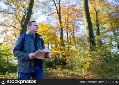 Active Mature Man With Map Walking Through Autumn Woodland