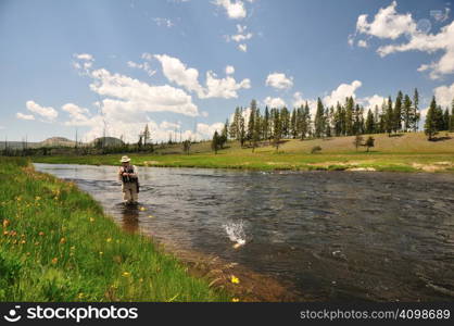 Active senior woman reeling in a trout from the Firehole River in Yellowstone National Park