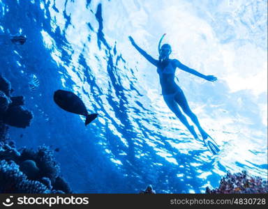 Active woman diving in the sea and enjoying wild nature, swimming underwater and consider different fishes, extreme sport, luxury summer vacation concept