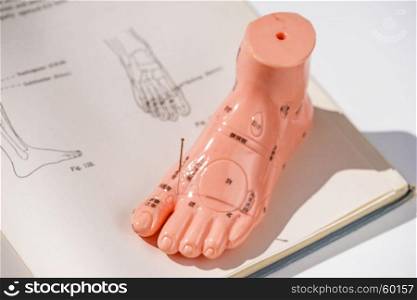 acupuncture demonstration on foot model