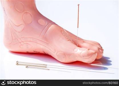 acupuncture demonstration on foot model