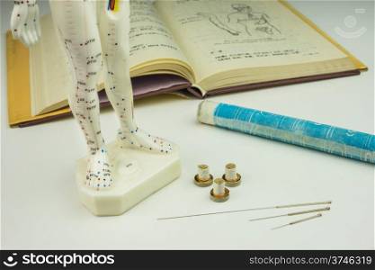 Acupuncture needles, model, textbook and moxa roll