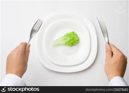 &acute;on a diet&acute; - concept of healthy eating / dieting