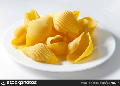 &acute;shell&acute; pasta on a plate