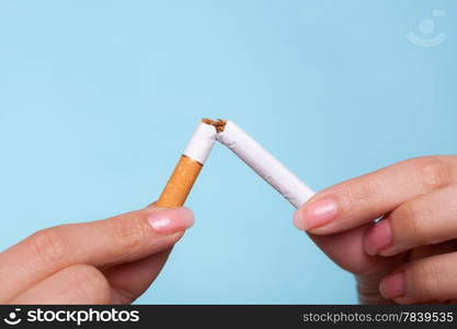 Addiction. Closeup of female hands breaking the cigarette on blue. Quit smoking. Studio shot.