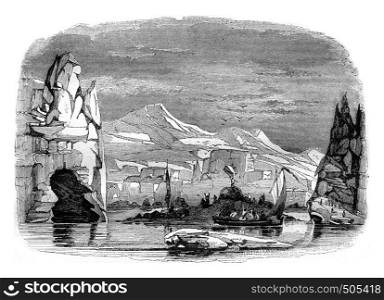 Adelie, discovery February 21, 1840, vintage engraved illustration. Magasin Pittoresque 1842.