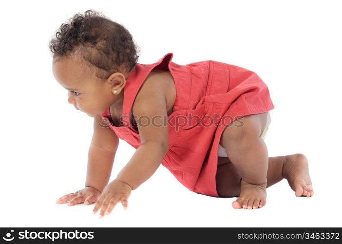 adorable baby learning to walk a over white background