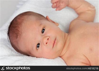 Adorable baby newborn isolated on a white background