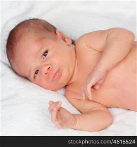 Adorable baby newborn isolated on a white background