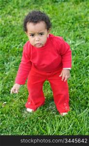 Adorable baby playing on the green grass