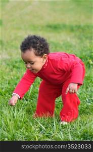 Adorable baby playing on the green grass