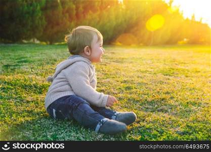 Adorable baby playing outdoors, sitting on the meadow in the park, enjoying warm spring sunny day, happy healthy childhood. Adorable baby playing outdoors