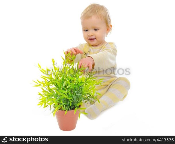 Adorable baby playing with plant in pot isolated on white