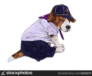 Adorable beagle dog wear student' s uniform on white background.. Beagle dog wear student' s uniform.