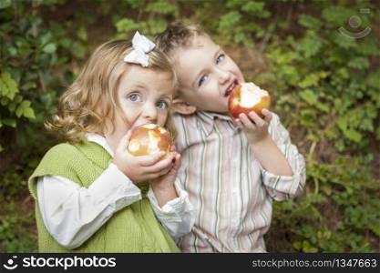 Adorable Brother and Sister Children Eating Big Red Apples Outside.