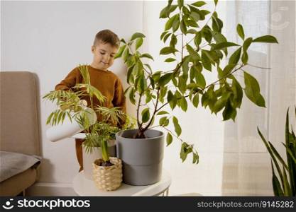 Adorable, cute boy caring of indoor plants at home. A little helper in the household, leisure activity. Child watering plants. Home gardening concept. Cozy room, earth colors. Casual clothing. Adorable, cute boy caring of indoor plants at home. A little helper in the household, leisure activity. Child watering plants. Home gardening concept. Cozy room, earth colors. Casual clothing.