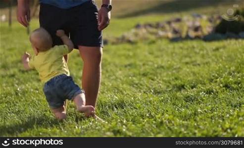 Adorable infant child trying to stand up with the help of father&acute;s legs and falling down as he learns to walk on green grassy lawn in park. Back view. Low angle view. Father teaching toddler son to walk in nature on sunny summer day.