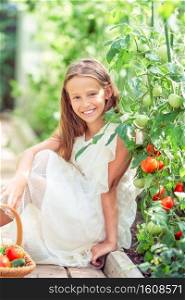 Adorable little girl harvesting cucumbers and tomatoes in greenhouse. Portrait of kid with busket with vegetables. Adorable little girl harvesting cucumbers and tomatoes in greenhouse.