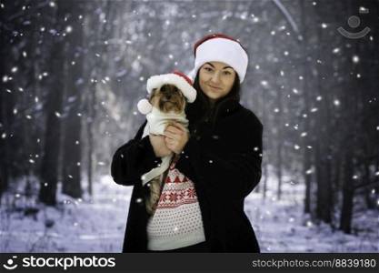 adult, animal, Attractive Female, backgrounds, beautiful, beauty, brown hair, christmas, cute, dog, domestic animals, elegance, female, female animal, fluffy, friendship, frozen, glamour, gold, holiday, human eye, Human Face, ice, image, lifestyles, Little Girls, long hair, love, motivation, nature, one person, Only Women, outdoors, people, pets, portrait, posing, puppy, season, snow, star, sun, terrier, winter, women, yorkshire, yorkshire terrier, young adult, Young Women