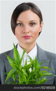 Adult business woman holding lucky bamboo plant symbol of success. Business growing concept
